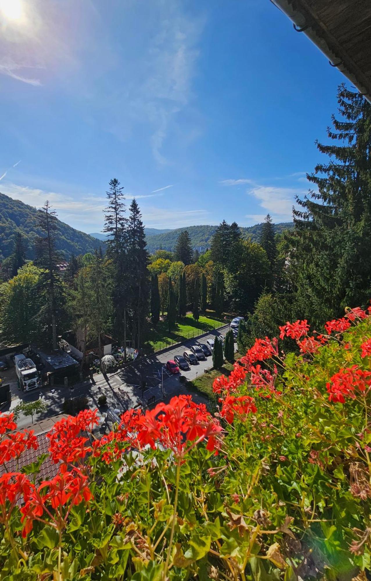 Laura Apartments Sinaia Exterior photo